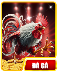 đá gà j88